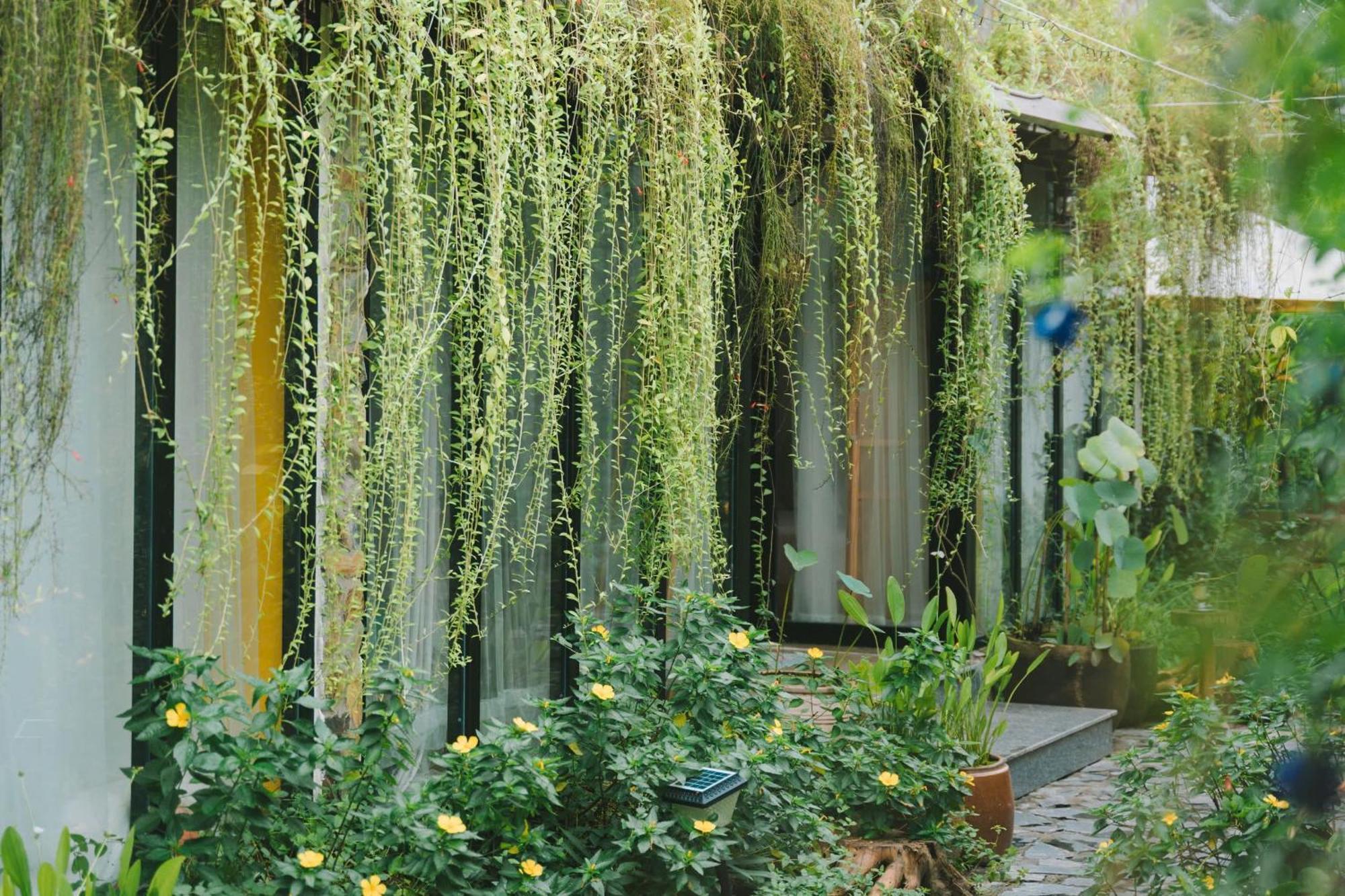Ben Do Xua Homestay & Coffee Cai Rang Екстериор снимка