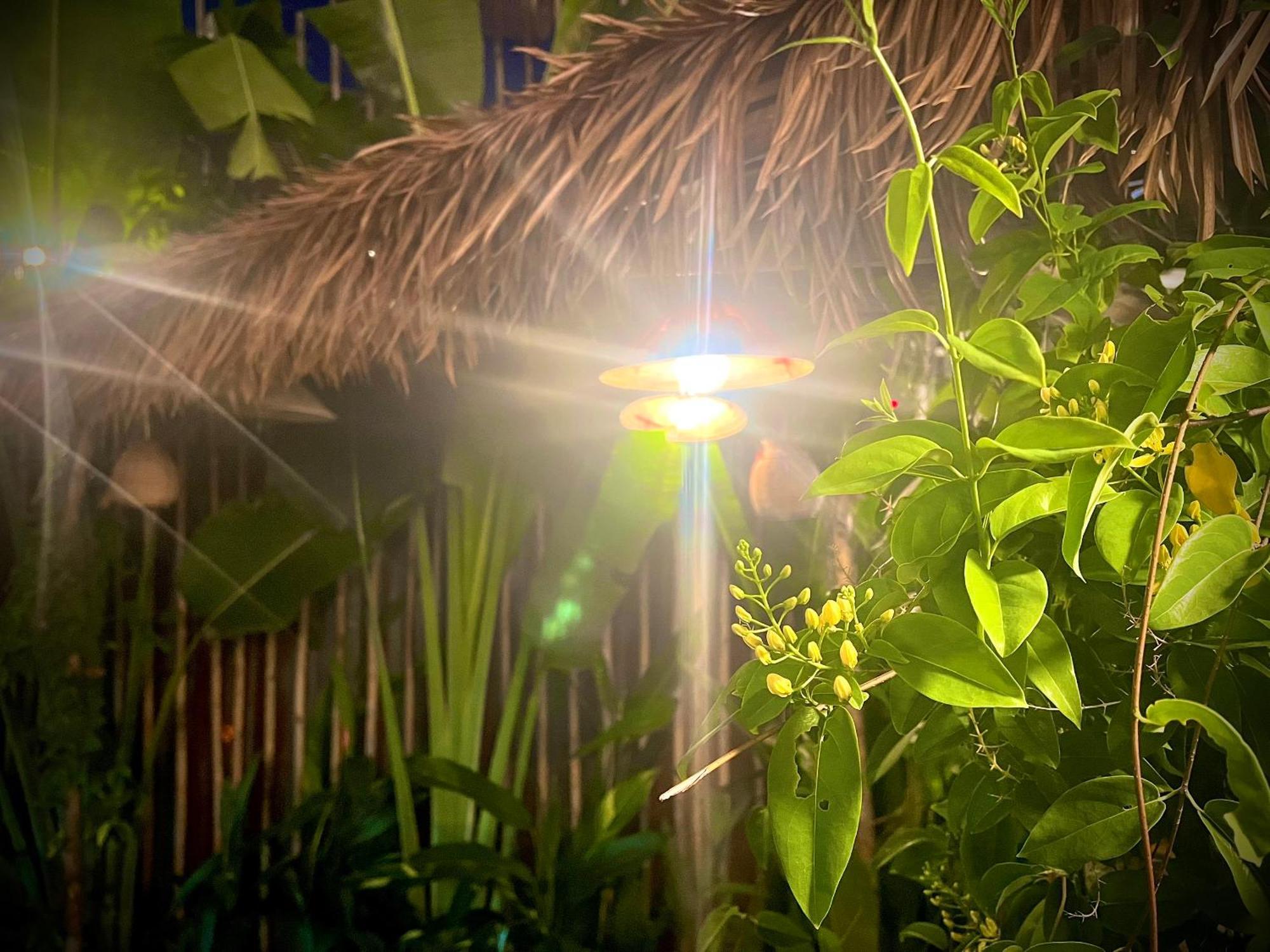 Ben Do Xua Homestay & Coffee Cai Rang Екстериор снимка