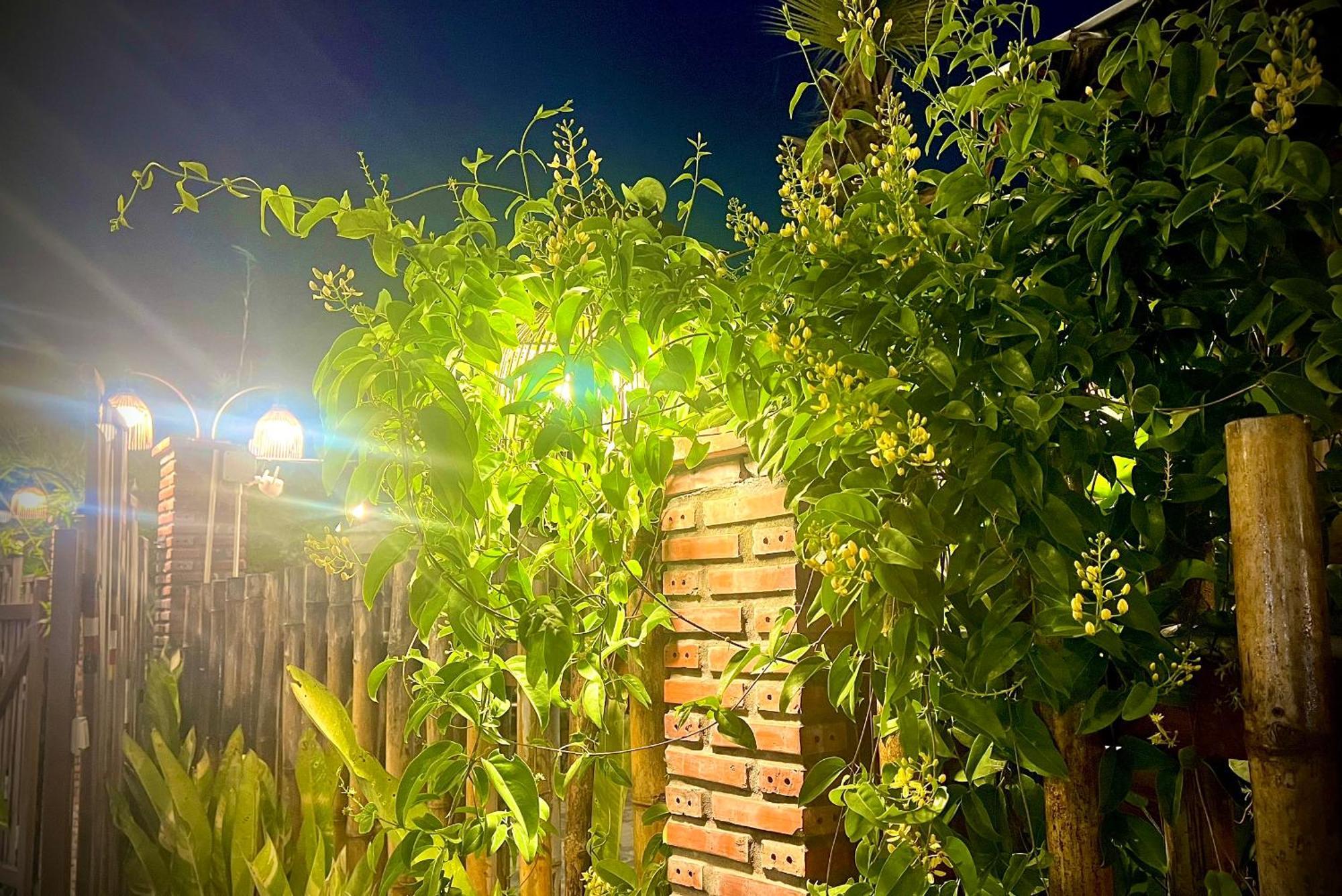 Ben Do Xua Homestay & Coffee Cai Rang Екстериор снимка